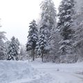 Enfin un vrai paysage d'hiver ...