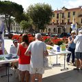 Forum des associations de Banyuls sur mer 2018. Participation de notre association "Les amis du laboratoire Arago"