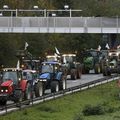 Les agriculteurs appellent au blocus de Paris jeudi