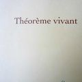 Cédric Villani, (un) Théorème vivant