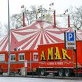 # Cirque Amar à Bayonne #