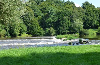 Au bord de la rivière,à Ansac/Vienne ,Charente.