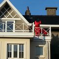 Un chien rouge sur une terrasse...