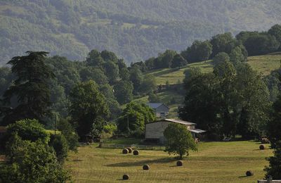 SOLEIL LEVANT SUR LE PIÉMONT