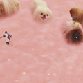 Diamantino (2018) de Gabriel Abrantes & Daniel Schmidt