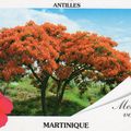 MARTINIQUE Editions: EDIT'CARTES