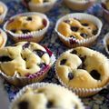 bluberries muffins