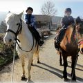 Balade avec les chevaux