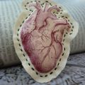 Broche Coeur Anatomie