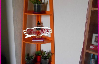 Etagere d'Angle pour mes Plantes