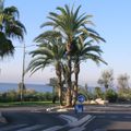 Rond-point à Sanary sur Mer