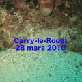 Carry-le-Rouet mars 2010