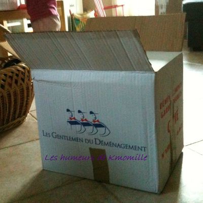 Que faire avec des cartons de déménagement?