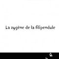 La zygène de la filipendule de Ricardo Salvador dans le cadre de coups de cœur pour auteur peu médiatisé