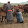 Toute la troupe en Mongolie...