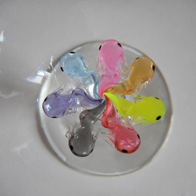 Entrainement de nage synchronisée d'Axolotls