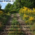 Jean 8 verset 12