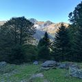 Brame du cerf dans les Hautes-Pyrénées