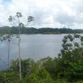 France/Guyane - L'orpaillage illégal, vu par la presse guyanaise