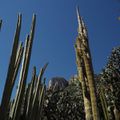 Le jardin exotique de Monaco