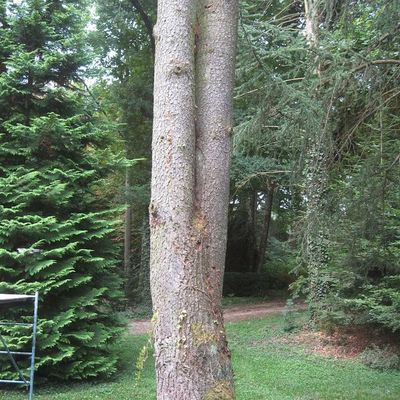 les Gardiens amoureux au parc de la teyssonnière