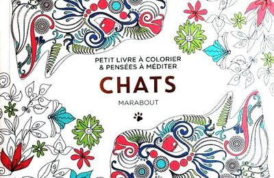 Coloriage Chat