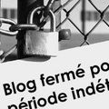 INTERRUPTION MOMENTANÉE DU BLOG