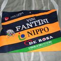 TEAM VINI FANTINI NIPPO