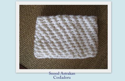 Snood Astrakan et mitaines