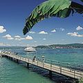 Die Insel Mainau (l'ile de Mainau)