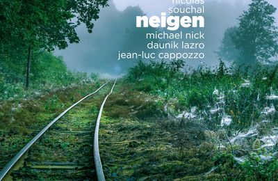 Neigen (Ayler Records)