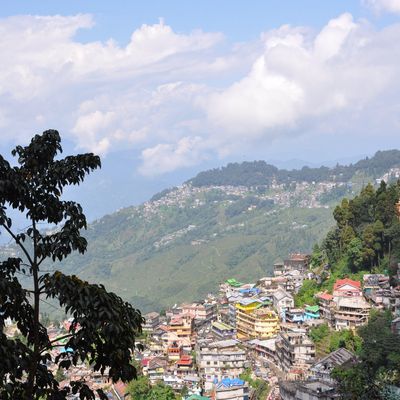 La haut, près des sommets.