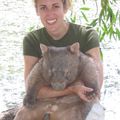 Corps à corps avec le wombat
