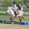 Passage des barres au sol, pour les poneys