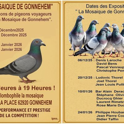 exposition à gonnehem