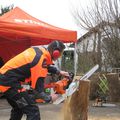 Un grand merci à : STIHL Francetronçonneuse,