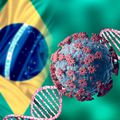 ► Coronavirus : faut-il s’inquiéter du variant brésilien ?