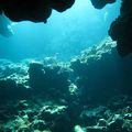 Plongée en Mer Rouge : Dolphin reef - Claudia (Hamata)