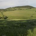 Paysage Ardéchois vers Roumezoux, sur la route, chemin et les bois