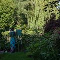 Les jardins de Claude Monet