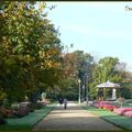 Balade automnale au parc du Thabor