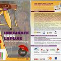 INT 038	Une girafe sous la pluie