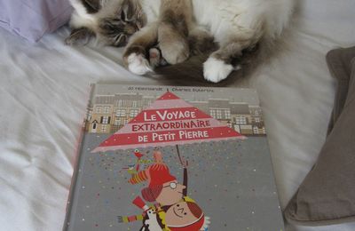 Le Voyage extraordinaire de Petit Pierre - Jo Hoestlandt et Charles Dutertre