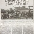 L'arbre de la paix planté à l'école