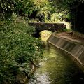 Promenade bucolique