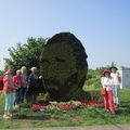 2025-06-13 Balade Van Gogh avec CNB - Cercle de Naturalistes de la Belgique 