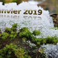 2019_01 en janvier ? l'hiver continue ...