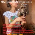 Connaissez vous le compétent marabout retour affectif rapide vognon bossa