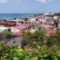Ste Luce Martinique