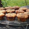 Muffins cranberries-pommes, bons mais raplaplas !